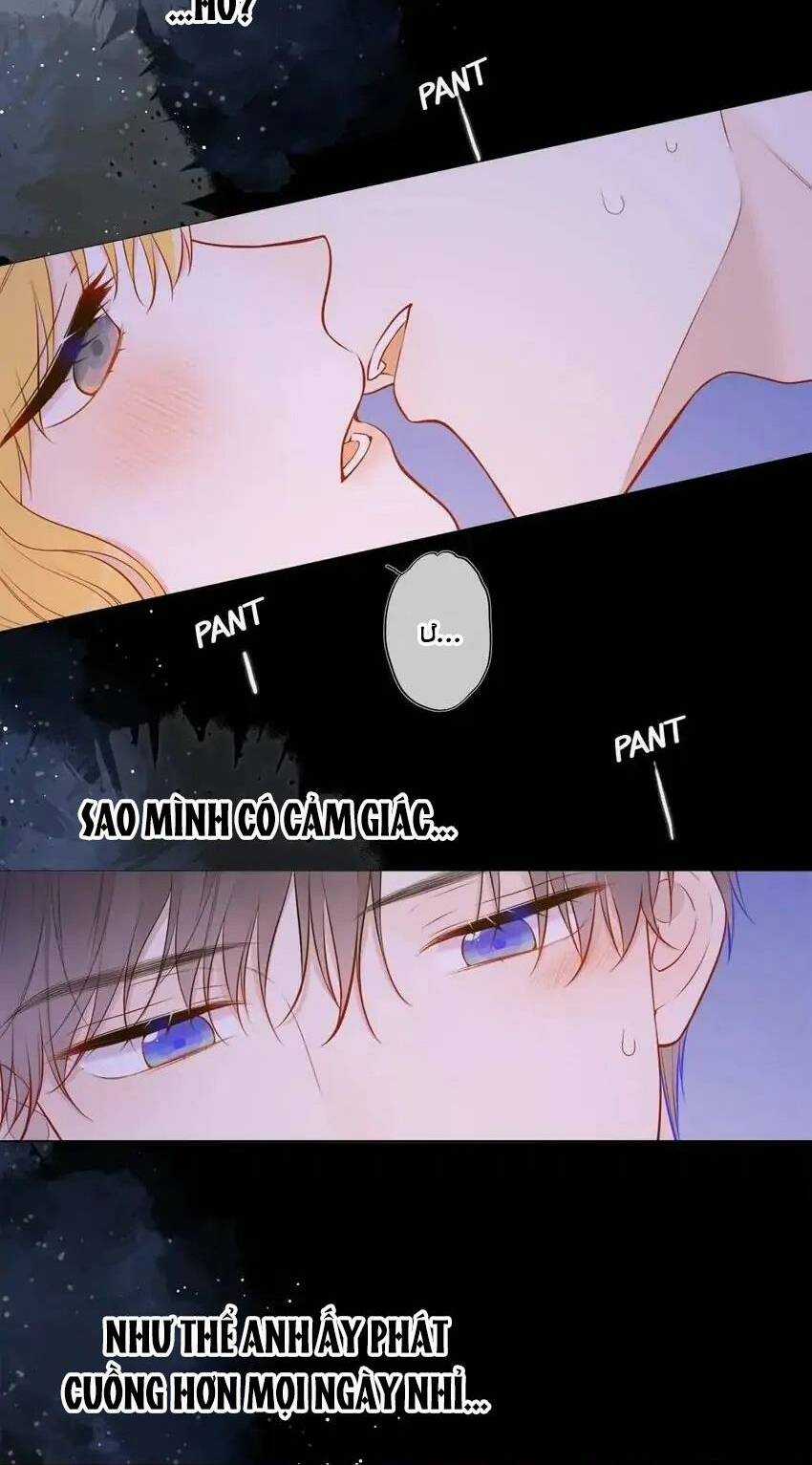 Ngôi Sao Cho Tôi Chapter 138 trang 3