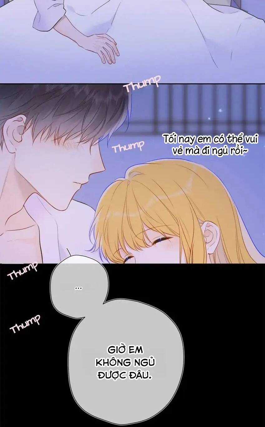 Ngôi Sao Cho Tôi Chapter 138 trang 30