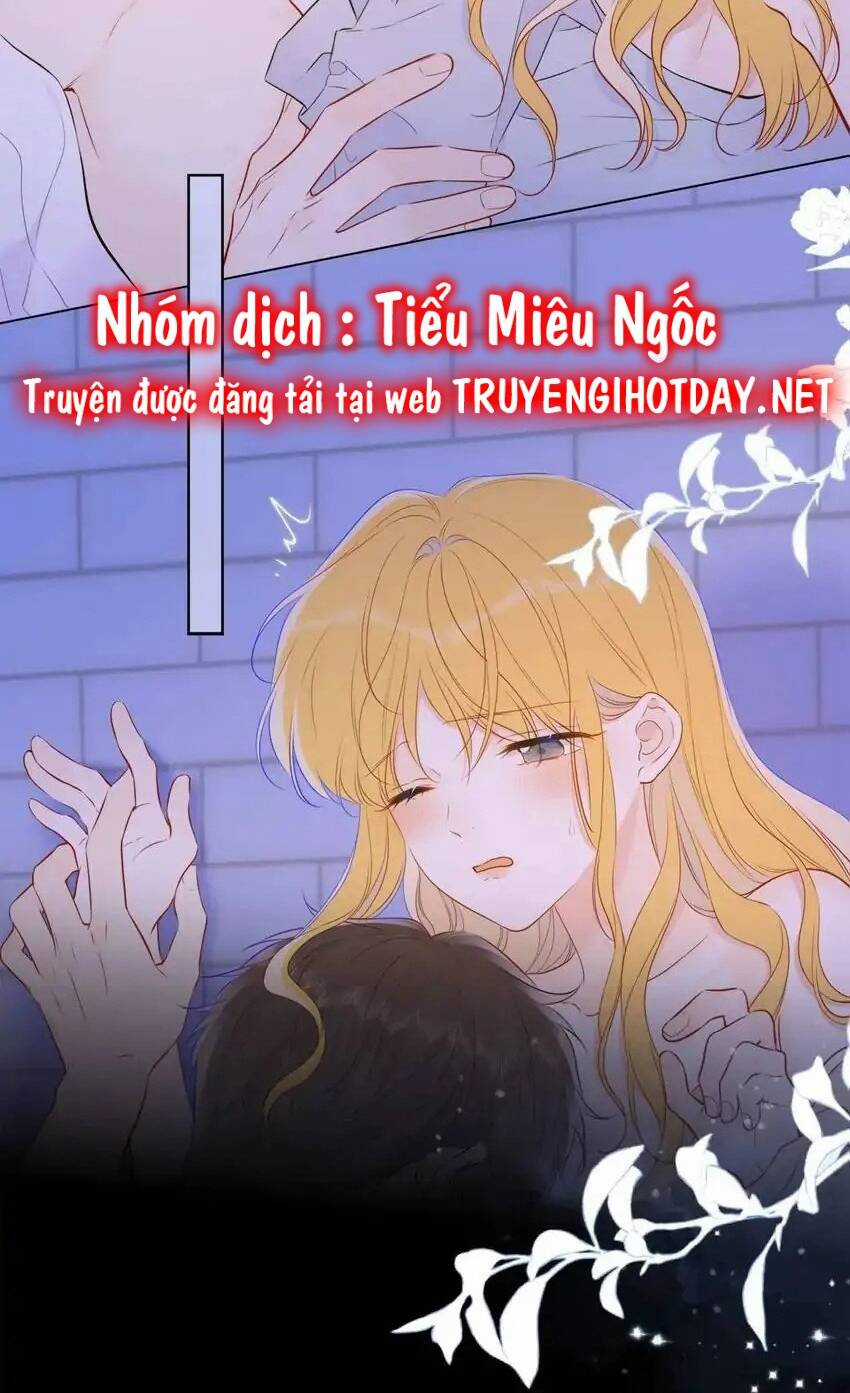 Ngôi Sao Cho Tôi Chapter 138 trang 38