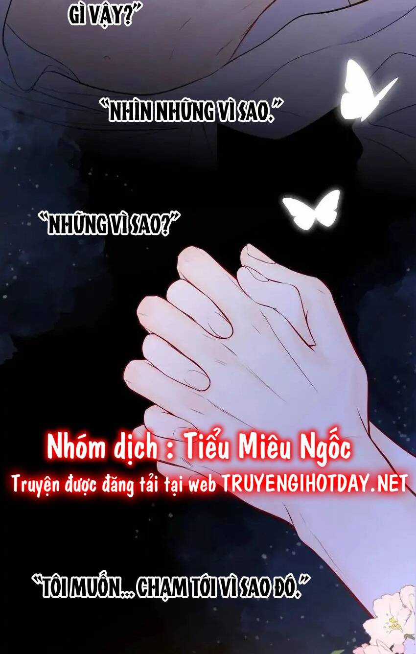 Ngôi Sao Cho Tôi Chapter 138 trang 41