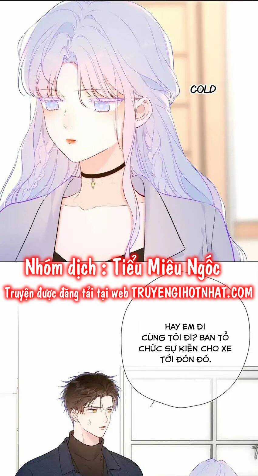 Ngôi Sao Cho Tôi Chapter 139 trang 29