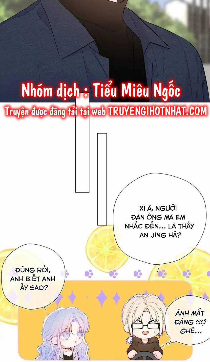 Ngôi Sao Cho Tôi Chapter 139 trang 41