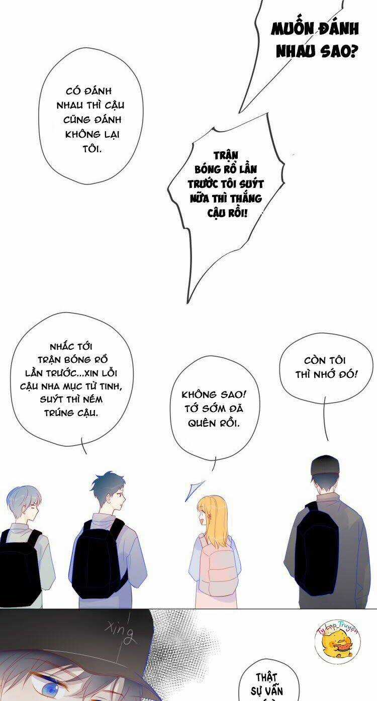 Ngôi Sao Cho Tôi Chapter 14 trang 17