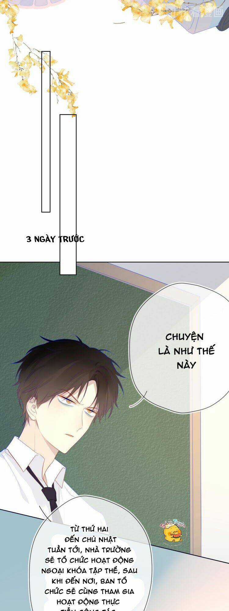 Ngôi Sao Cho Tôi Chapter 14 trang 5