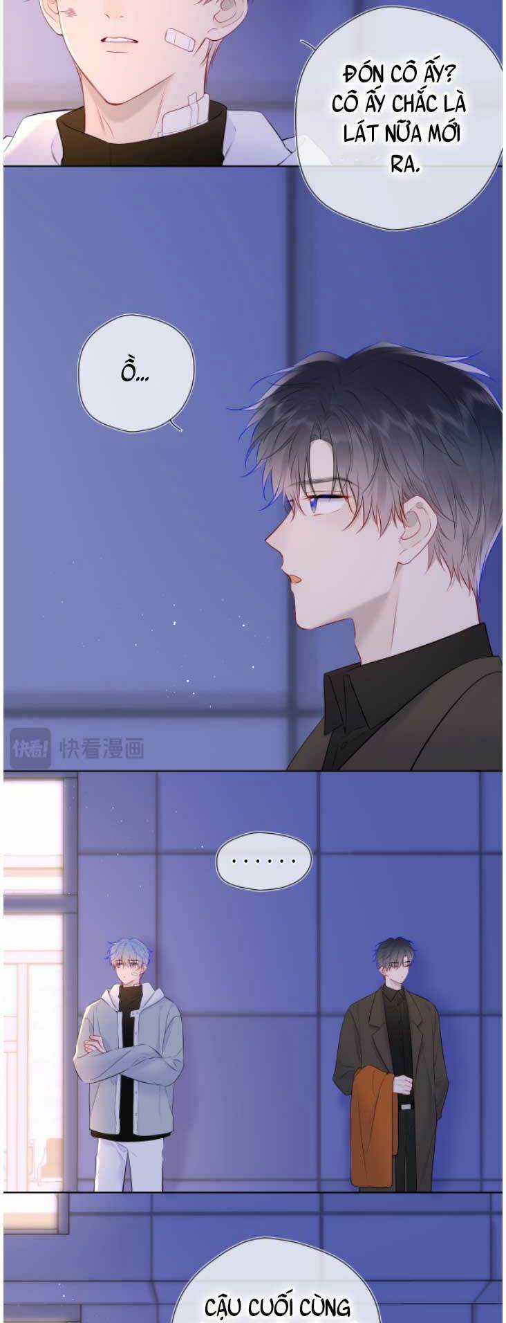 Ngôi Sao Cho Tôi Chapter 141 trang 20