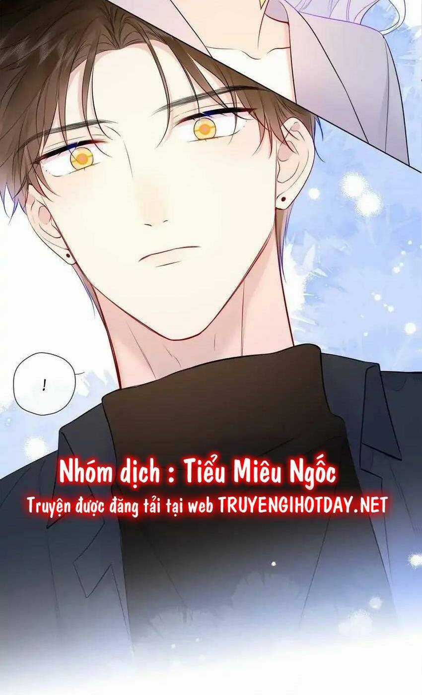 Ngôi Sao Cho Tôi Chapter 142 trang 34