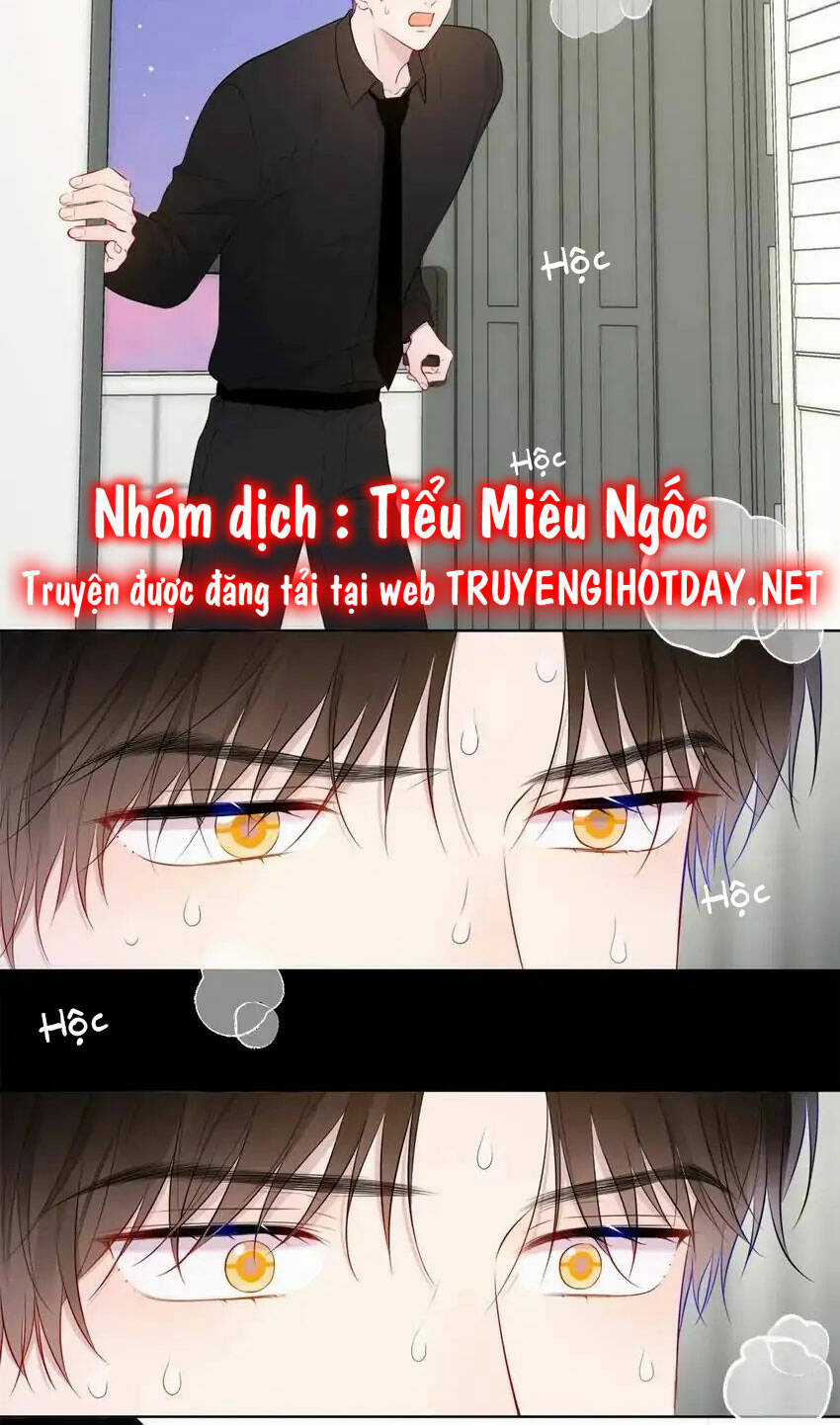 Ngôi Sao Cho Tôi Chapter 143 trang 18