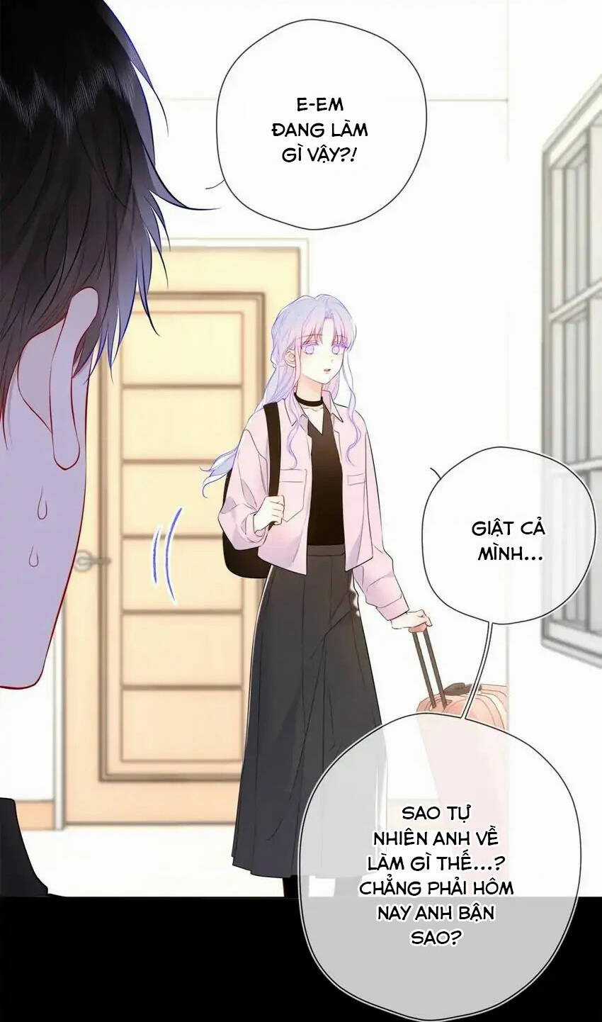 Ngôi Sao Cho Tôi Chapter 143 trang 19