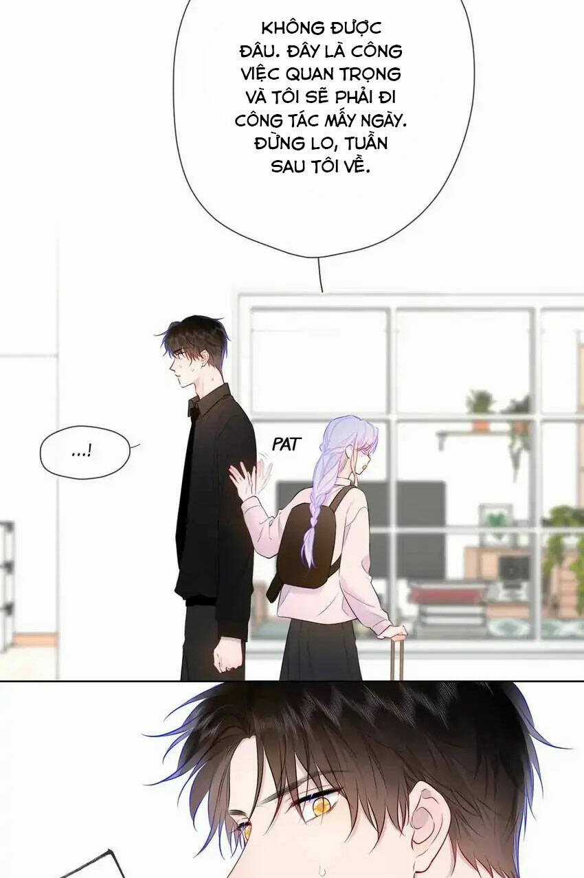 Ngôi Sao Cho Tôi Chapter 143 trang 26