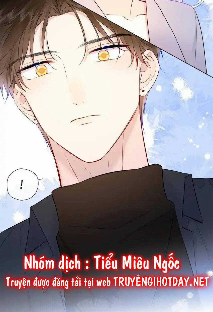 Ngôi Sao Cho Tôi Chapter 143 trang 3