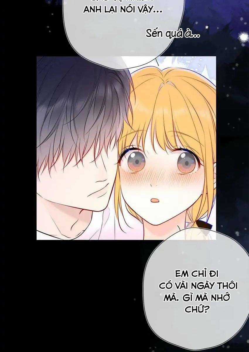 Ngôi Sao Cho Tôi Chapter 144 trang 18