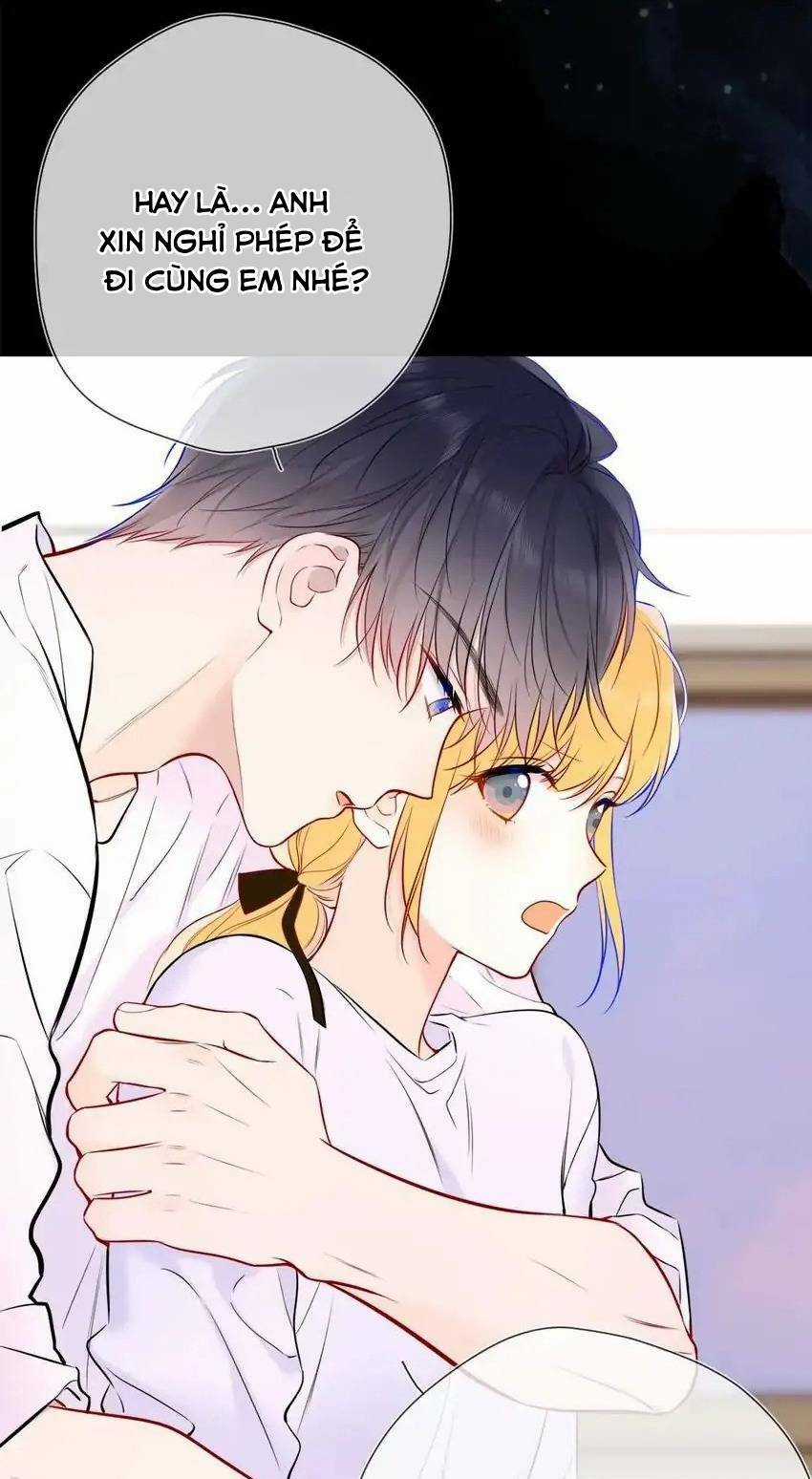 Ngôi Sao Cho Tôi Chapter 144 trang 19