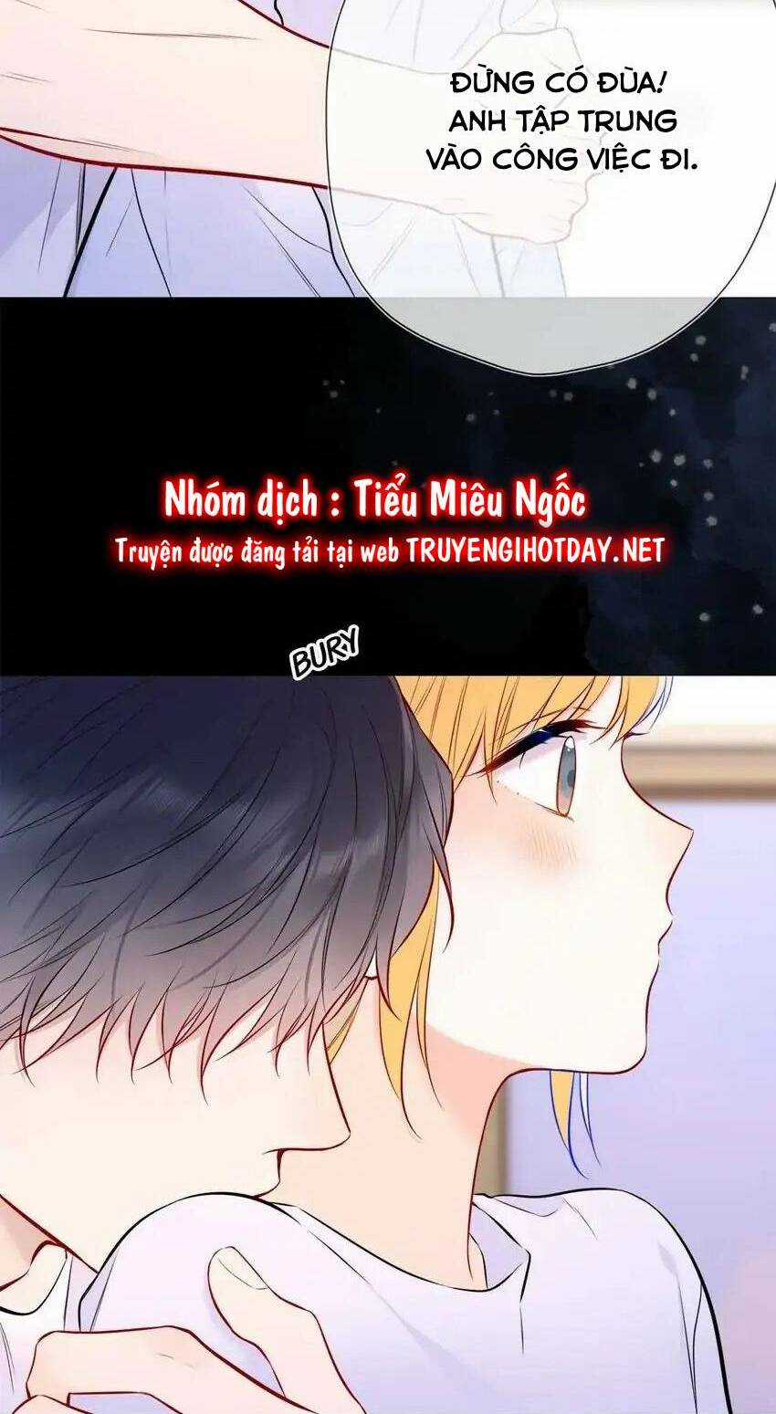 Ngôi Sao Cho Tôi Chapter 144 trang 20