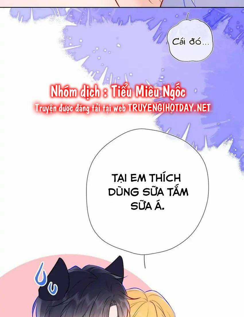 Ngôi Sao Cho Tôi Chapter 144 trang 22