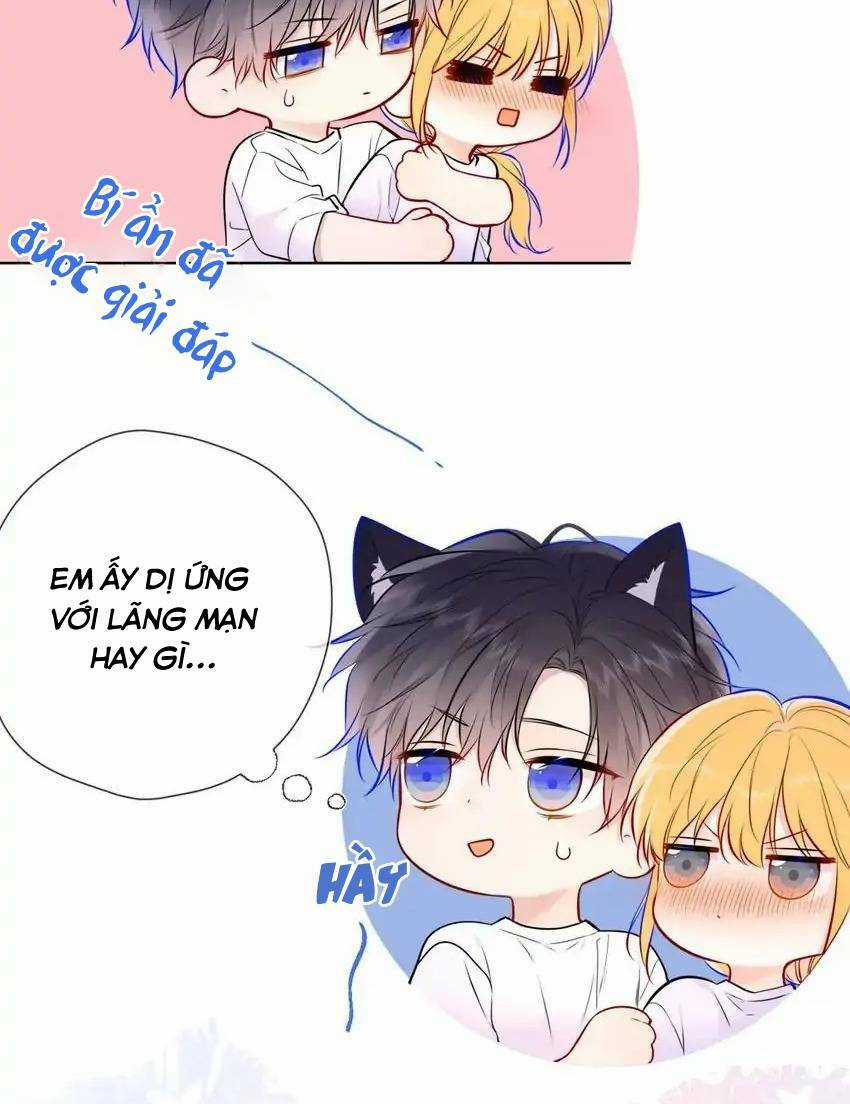 Ngôi Sao Cho Tôi Chapter 144 trang 23