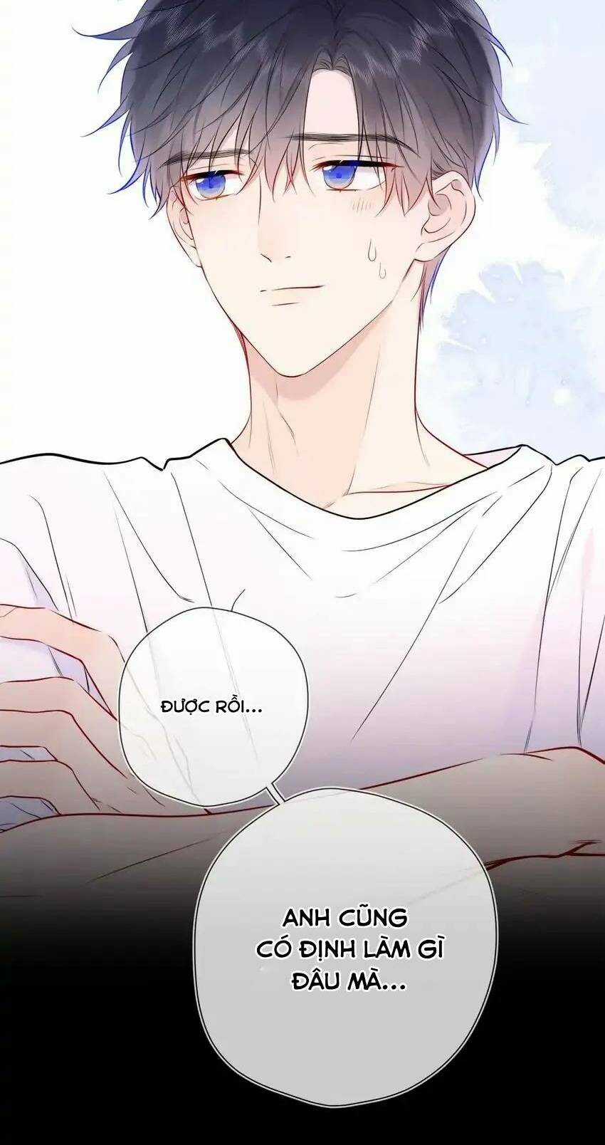 Ngôi Sao Cho Tôi Chapter 144 trang 29