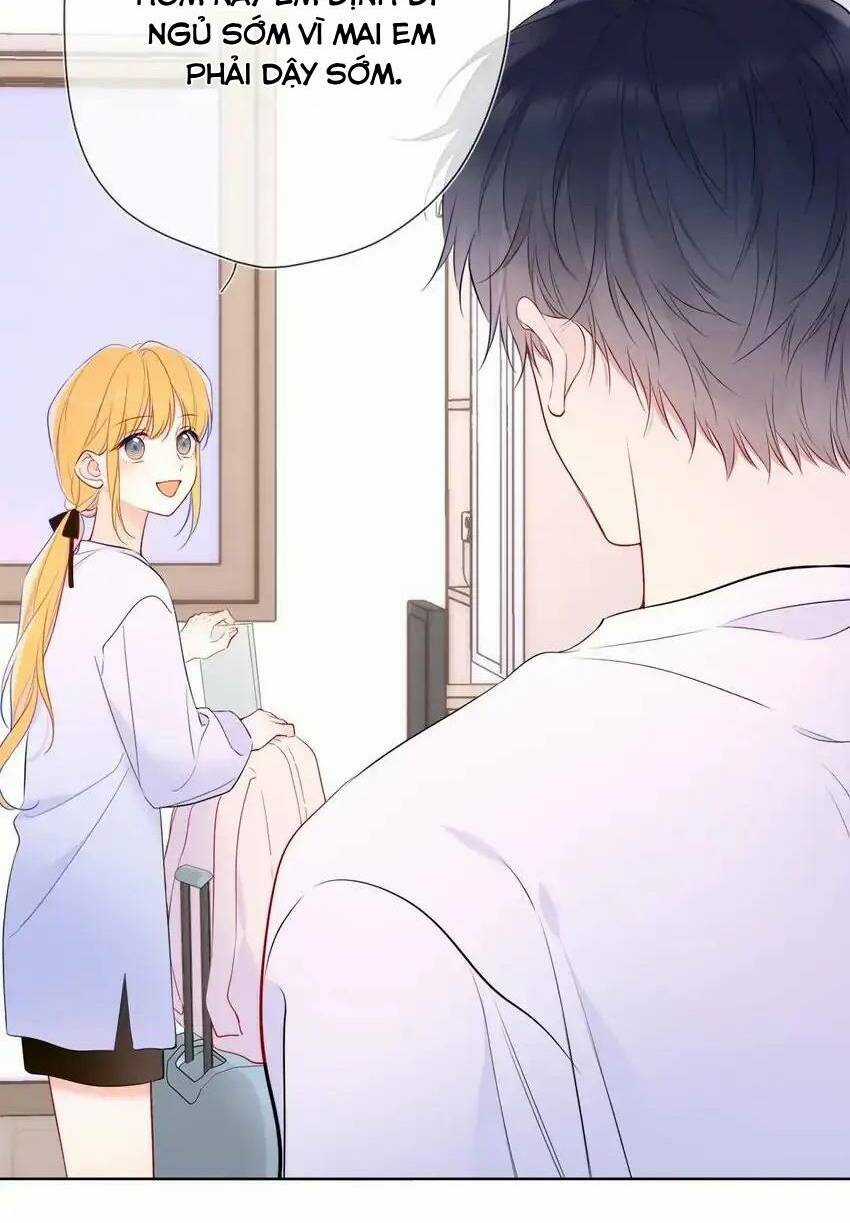 Ngôi Sao Cho Tôi Chapter 144 trang 7