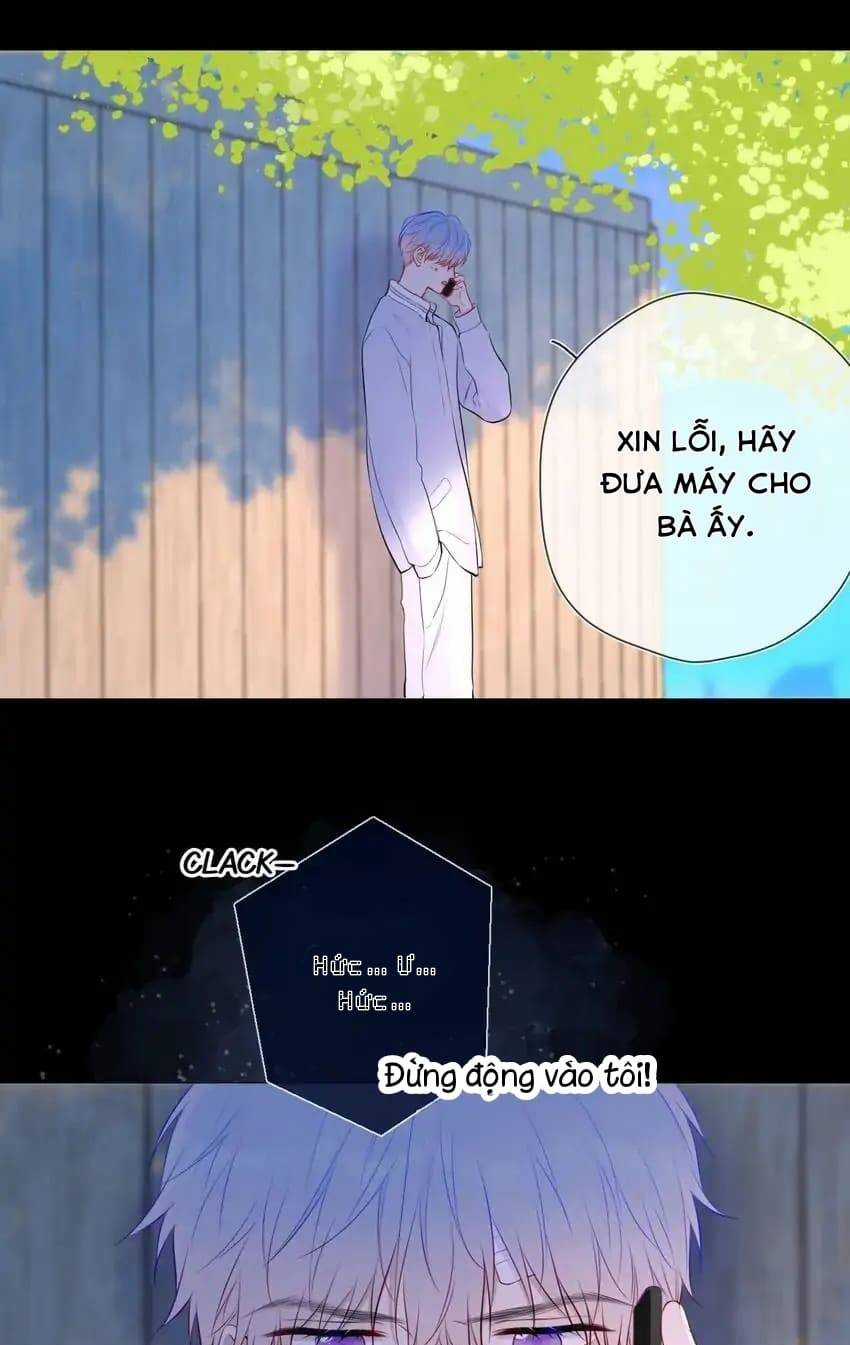 Ngôi Sao Cho Tôi Chapter 145 trang 18