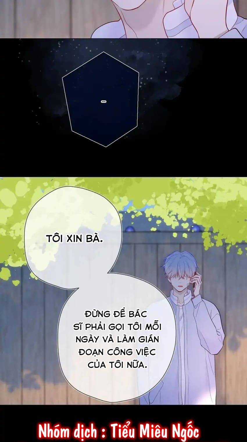 Ngôi Sao Cho Tôi Chapter 145 trang 25