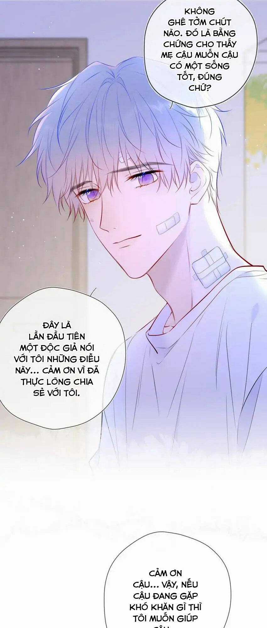 Ngôi Sao Cho Tôi Chapter 146 trang 16