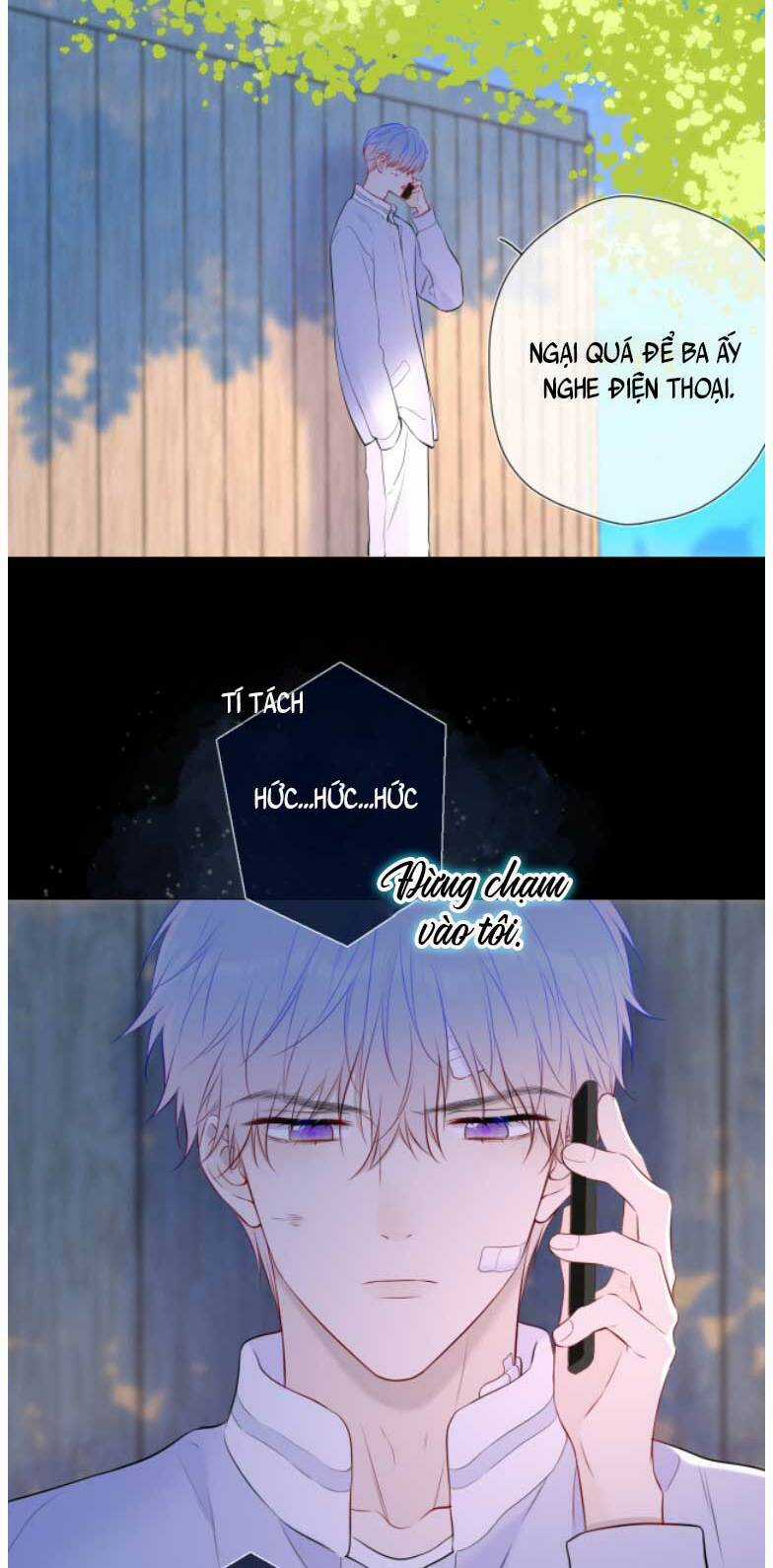 Ngôi Sao Cho Tôi Chapter 147 trang 16