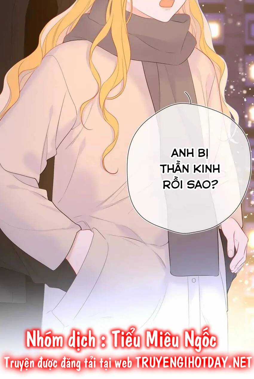 Ngôi Sao Cho Tôi Chapter 148 trang 23