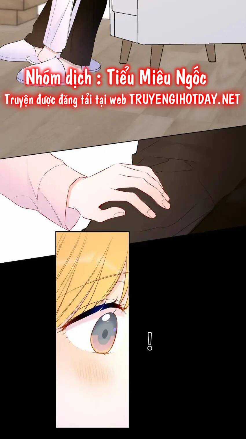 Ngôi Sao Cho Tôi Chapter 148 trang 34