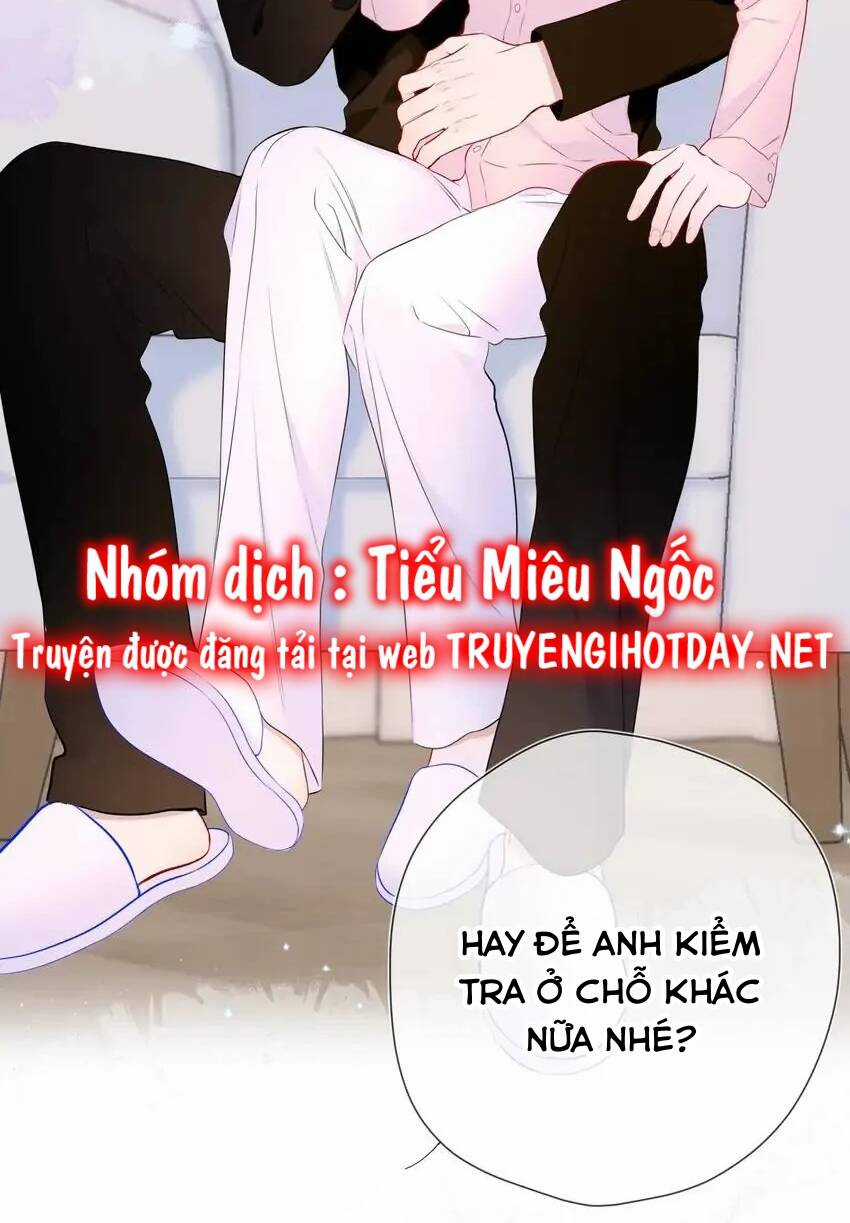 Ngôi Sao Cho Tôi Chapter 148 trang 42