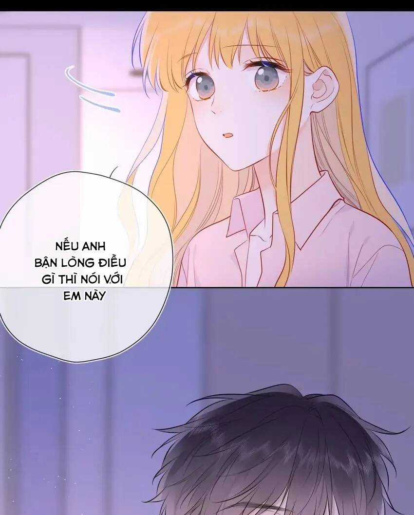 Ngôi Sao Cho Tôi Chapter 149 trang 34