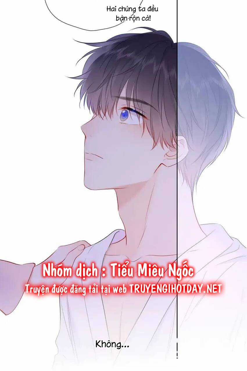 Ngôi Sao Cho Tôi Chapter 149 trang 41