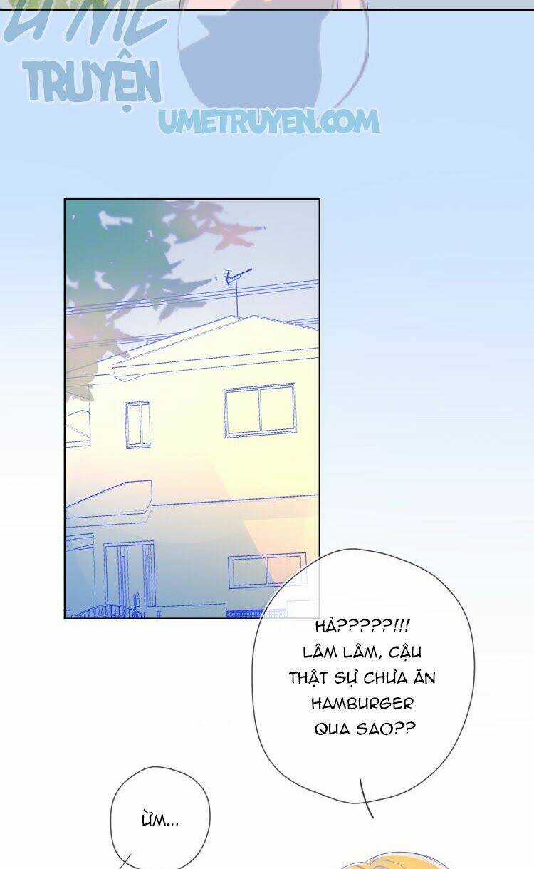 Ngôi Sao Cho Tôi Chapter 15 trang 3