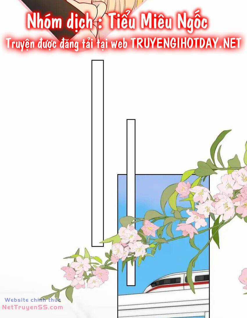 Ngôi Sao Cho Tôi Chapter 151 trang 14