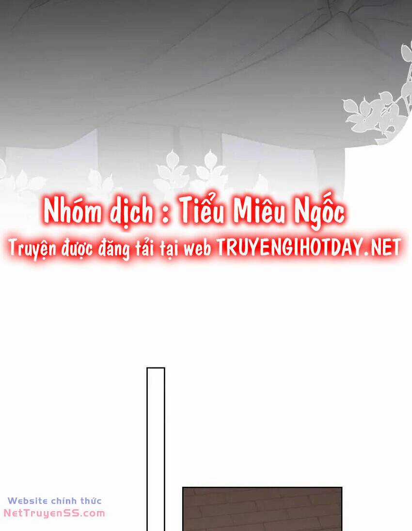 Ngôi Sao Cho Tôi Chapter 151 trang 19