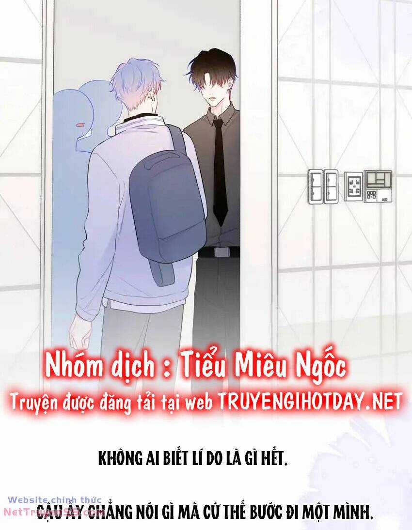 Ngôi Sao Cho Tôi Chapter 151 trang 23