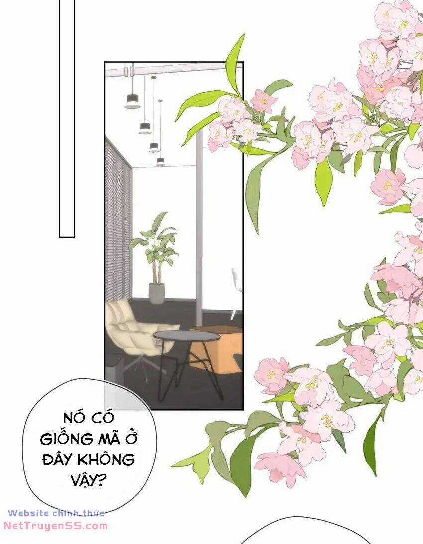 Ngôi Sao Cho Tôi Chapter 151 trang 28