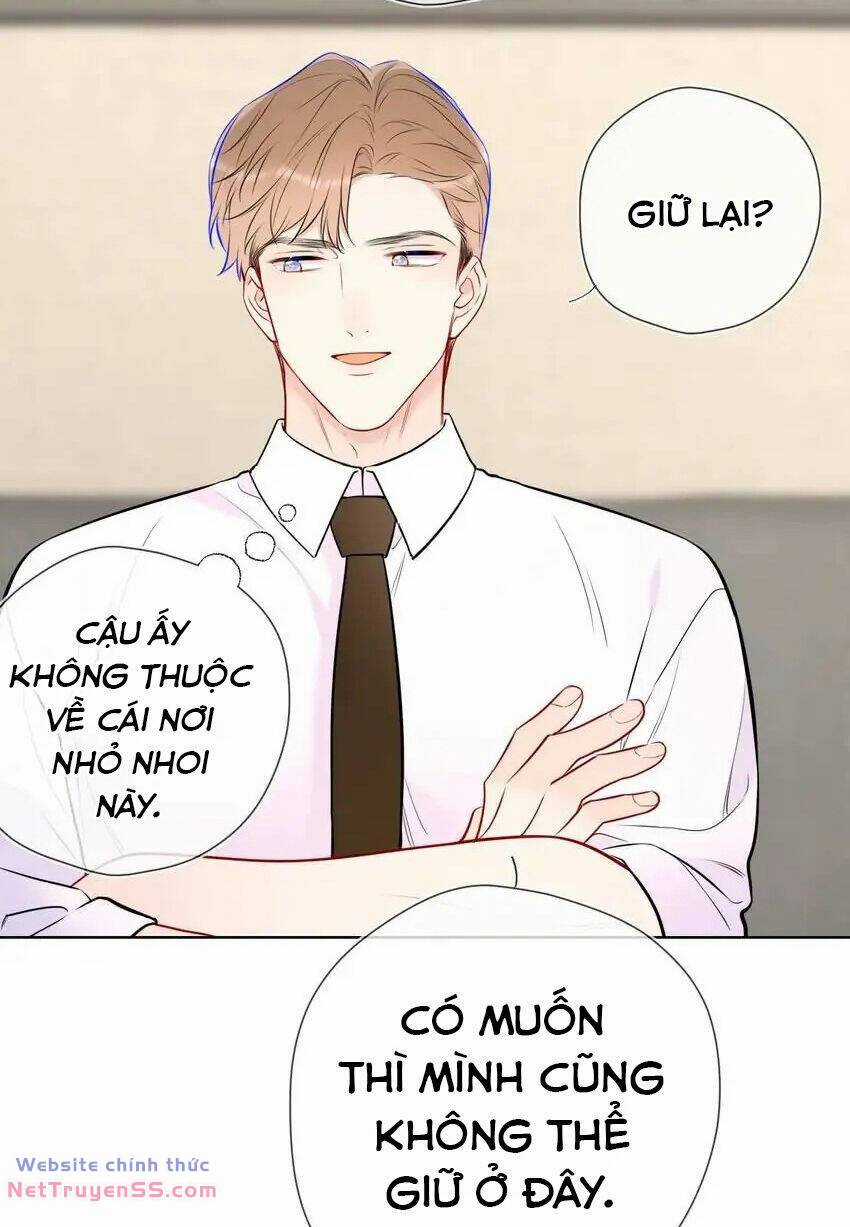 Ngôi Sao Cho Tôi Chapter 151 trang 34