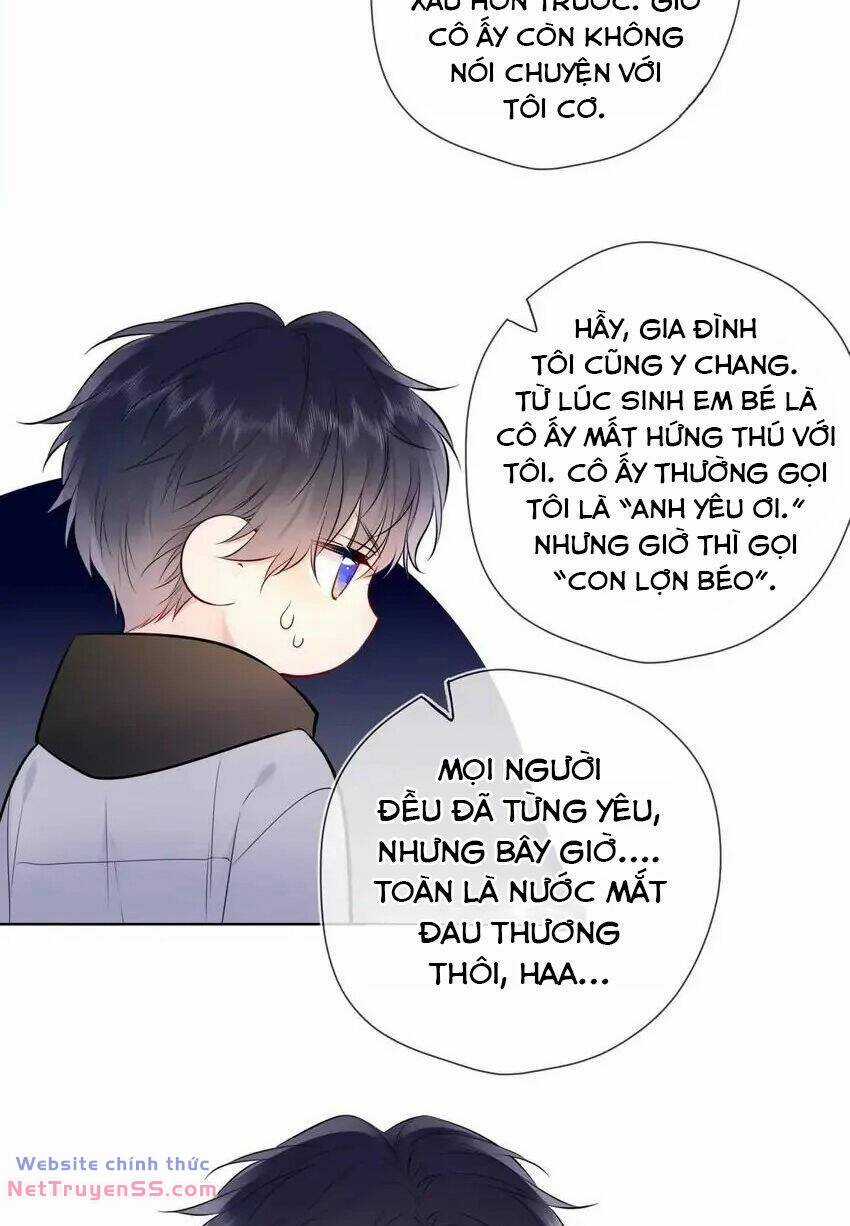 Ngôi Sao Cho Tôi Chapter 151 trang 36