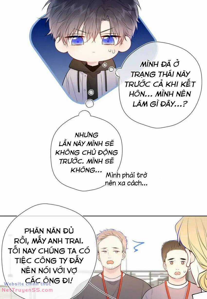 Ngôi Sao Cho Tôi Chapter 151 trang 37