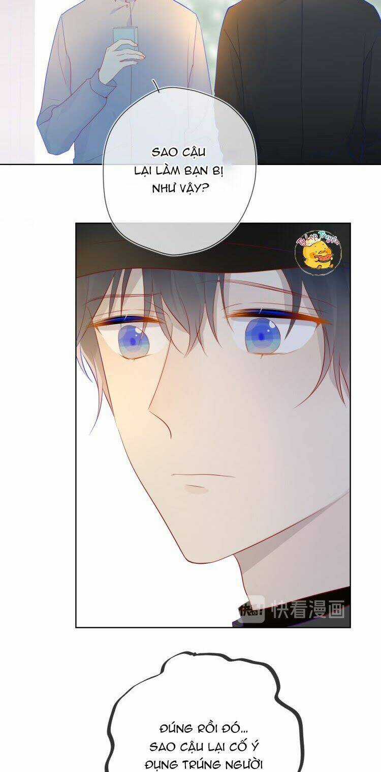 Ngôi Sao Cho Tôi Chapter 17 trang 3