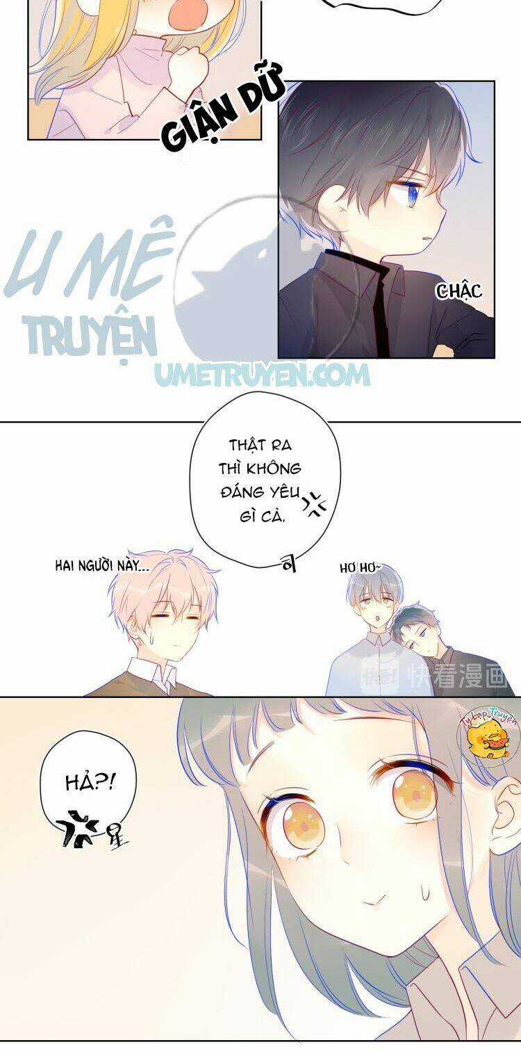 Ngôi Sao Cho Tôi Chapter 19 trang 11