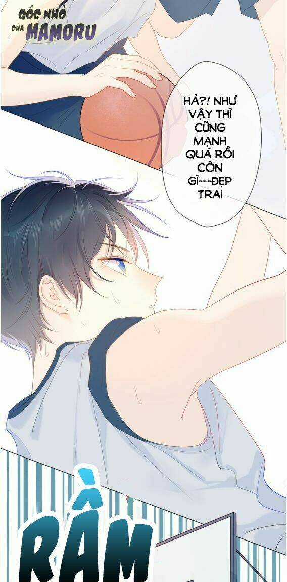 Ngôi Sao Cho Tôi Chapter 2 trang 2