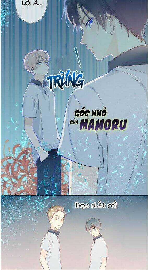 Ngôi Sao Cho Tôi Chapter 2 trang 31
