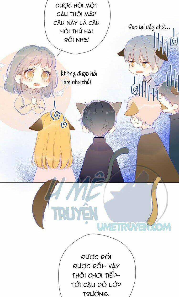 Ngôi Sao Cho Tôi Chapter 20 trang 5