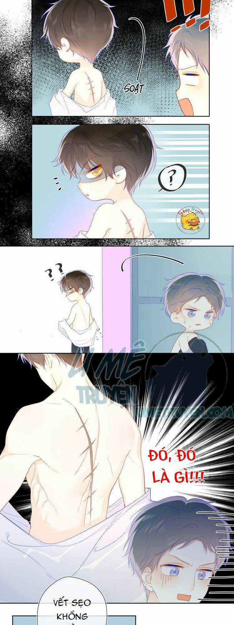 Ngôi Sao Cho Tôi Chapter 20 trang 8