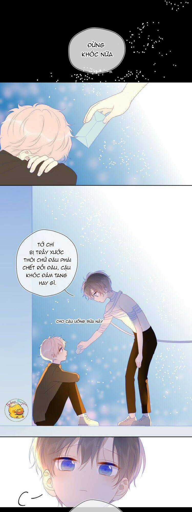 Ngôi Sao Cho Tôi Chapter 24 trang 41