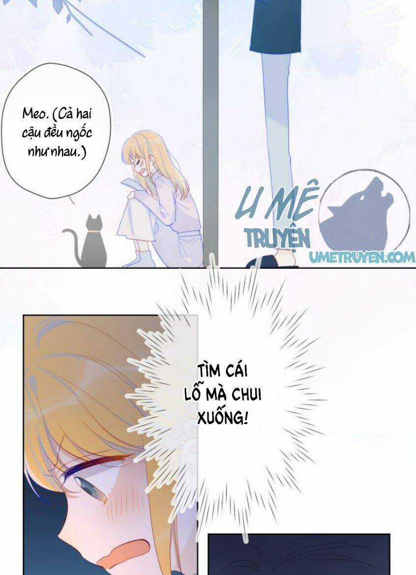 Ngôi Sao Cho Tôi Chapter 25 trang 19