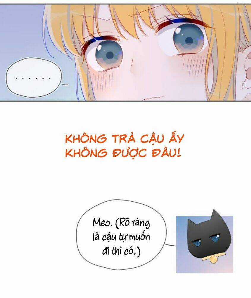 Ngôi Sao Cho Tôi Chapter 25 trang 5