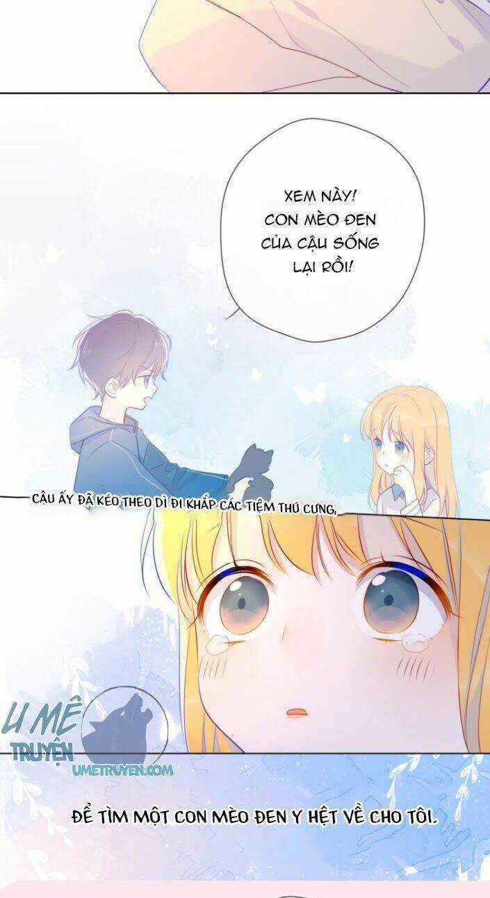 Ngôi Sao Cho Tôi Chapter 27 trang 14