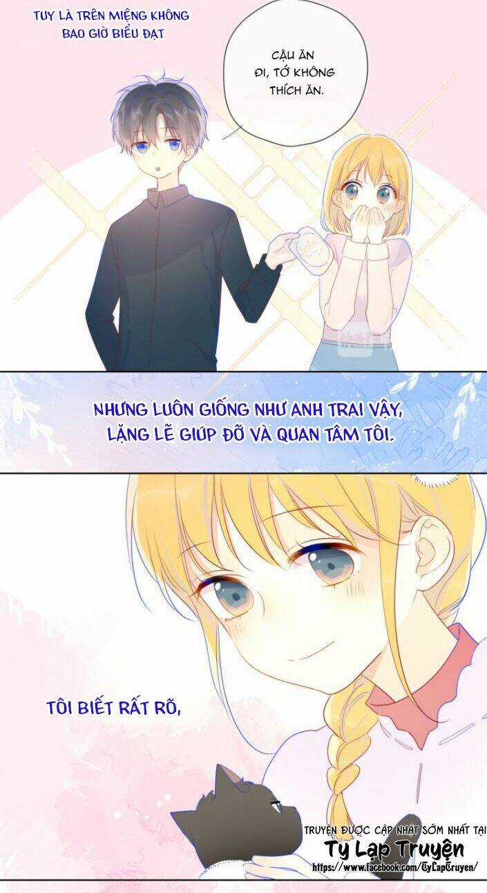 Ngôi Sao Cho Tôi Chapter 27 trang 15