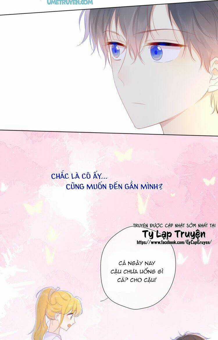 Ngôi Sao Cho Tôi Chapter 29 trang 11